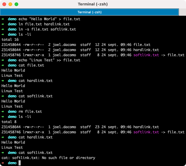 linux-link-demo.png